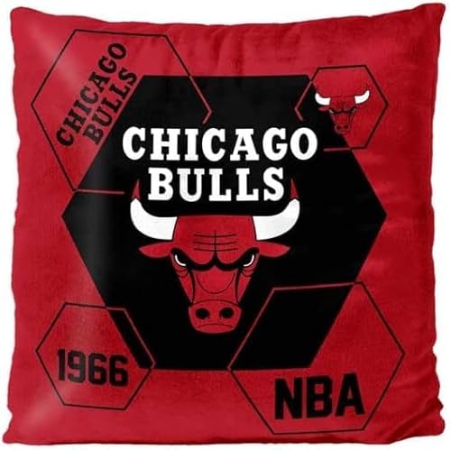 Northwest NBA Chicago Bulls Unisex-Adult Velvet Pillow, 16" x 16", Connector