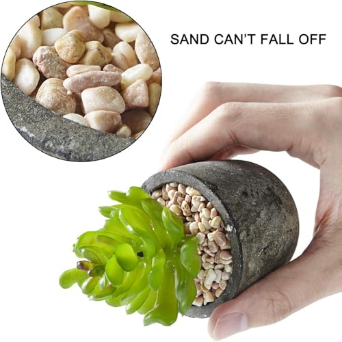 Image of Artificial Plants Set of 5 Artificial Succulents with Pots Colourful and Decorative Fake Succulents with Stones Ideal for Home Office and Outdoor Bathroom Bedroom Decore | Pack of 1