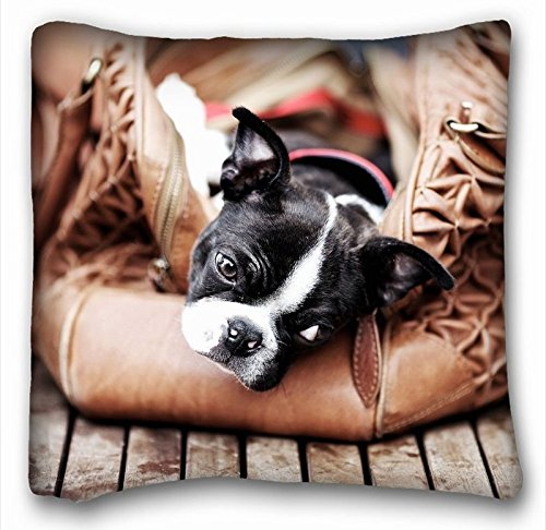 FFJPL Decorative Square Throw Pillow Case Animals Boston Terrier Dog Glass Bag Floor Terrier Animals Two Side 18x18 inch