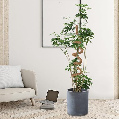 Glory Island YZB-63 Inch Moss Pole Monstera Plant Support, Coir Totem Pole For Indoor Plants, Tall Bendable Plant Climbing Stake With Jute Rope, Long Plant Pole Sticks For Pothos Live Plant thumb #3
