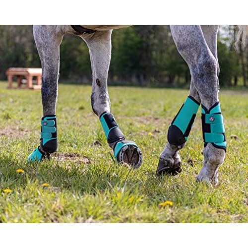 Botas de cross traseras para caballos Technical QHP de hípica 3