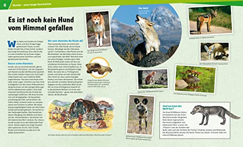 WAS IST WAS Band 11 Hunde. Helden auf vier Pfoten (WAS IST WAS Sachbuch, Band 11)