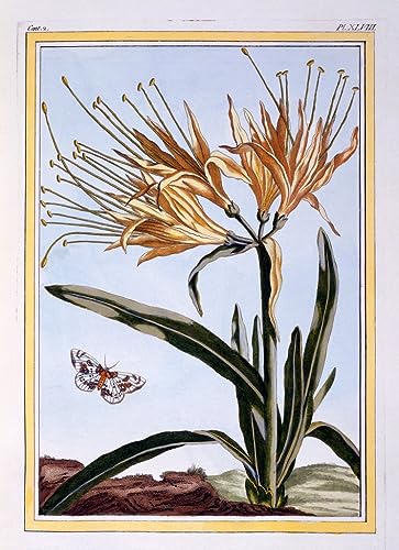 Pintura de lirio vintage de 60x90cm que renueva la estética de tu hogar