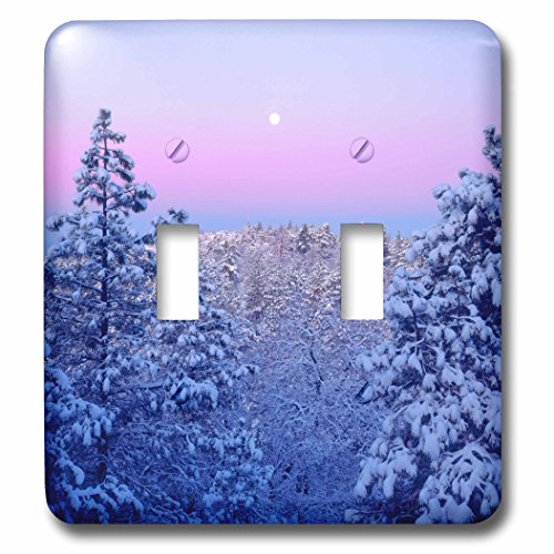 USA Californie San Diego plaque de finition double interrupteur paysage montagne