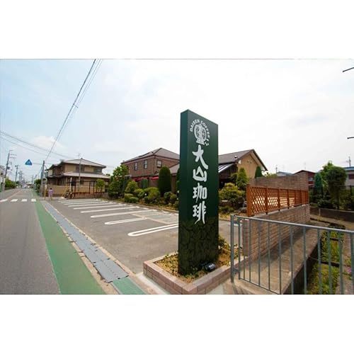 大山珈琲 エチオピア ゲイシャ ゲレザ G3 400g