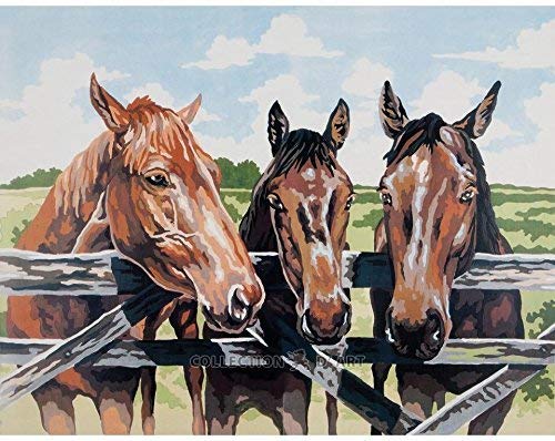 Needlepoint printed canvas