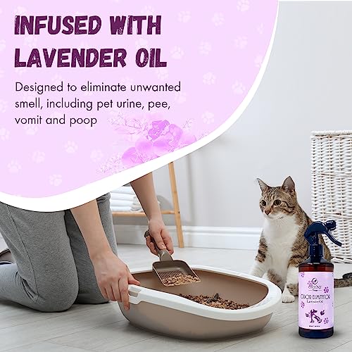 Oriental Therapy Pet Odor Eliminator Spray With Lavender Fragrance - Smelly Odor Remover & Deodorizer - Dog & Cat Stain Cleaner For Carpet, Bathroom, Car, Home & Office - 600Ml #TOP2