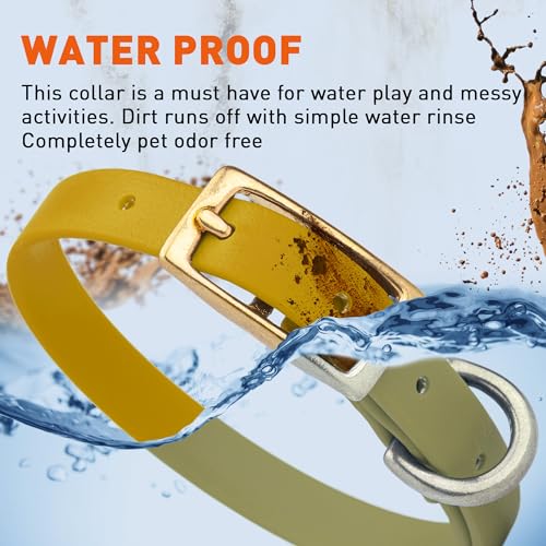 Image of Viper Biothane Heavy Duty Waterproof Dog Collar Strong Coated Nylon Webbing w /Solid Brass Hardware Odor-Proof for Easy Care to Clean High Performance Fits Small Medium or Large Dogs, Treasure Gold