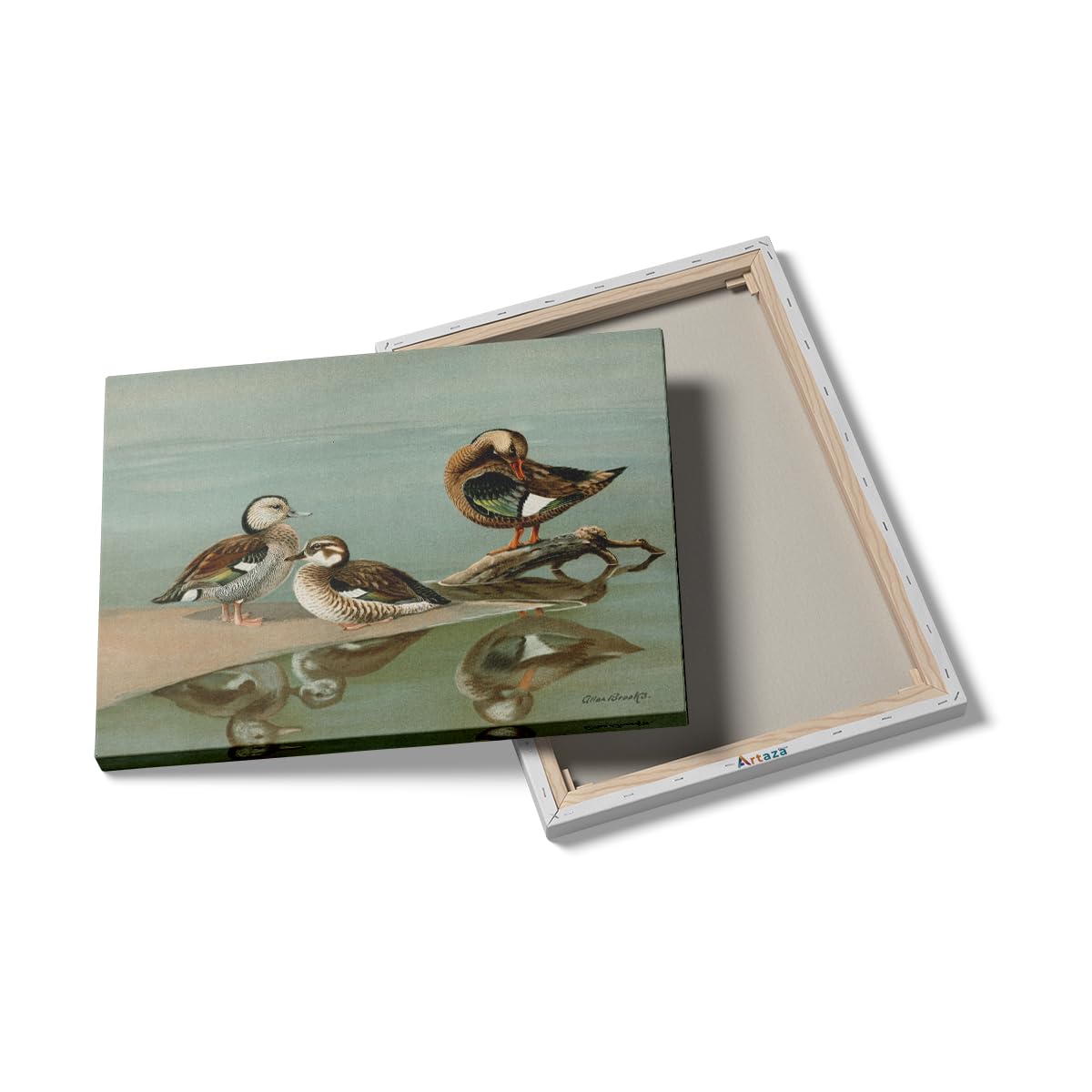 Artaza Leinwand Bilder Enten Vintage Illustration - 80x60 cm - Wanddeko Naturbilder - Wandbilder Tiere - Deko Wasservögel