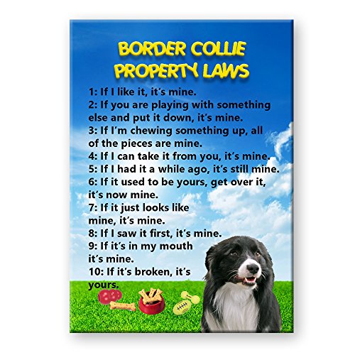 Border Collie Property Laws Fridge Magnet No 1