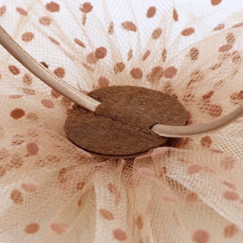 Image of DRESHOW Fascinators Hat Flower Mesh Ribbons Feathers on a Headband and a Clip Tea Party Headwear for Girls and Women