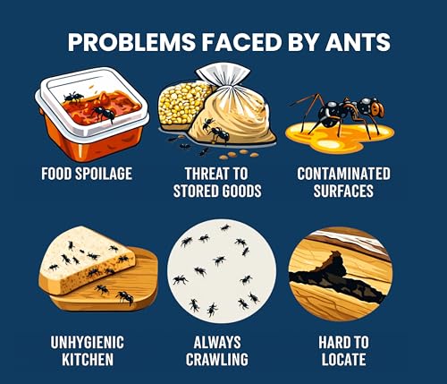 Image of Amish Ant Repellent Powder for Home & Kitchen Use | Odorless and Highly Effective Natural Ant Control Solution for Indoors & Outdoors - Pack of 4