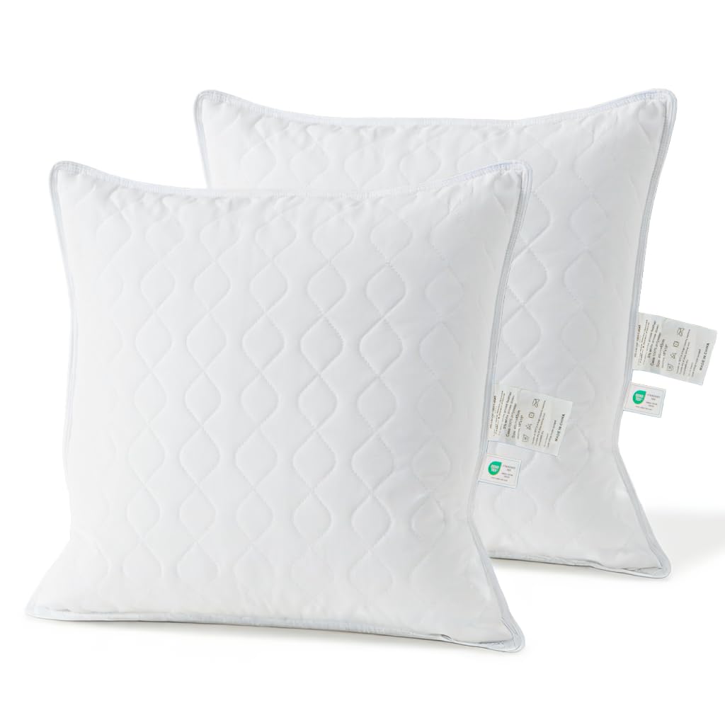 Deodar Cuscini in Piuma d'Oca 45X45 Set di 2, Imbottitura in 95% Piumino e 5% Piume d'Oca, Cuscini Decorativi per Letto Divano Hotel, 3 Camere Traspirante Lavabile, Certificato Öko-Tex e RDS