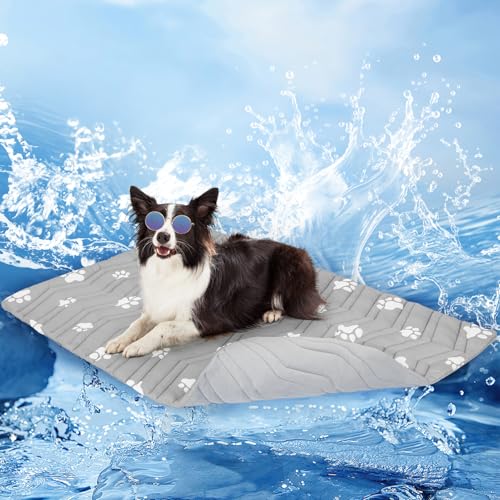 SCENEREAL pp}bg N[gp  ȗpppbh o[Vu (N[&EH[)A121.9 cmx71.1 cm ybg N[xbh M [W XL p  \t@}bg @ v Ő WF AEghA