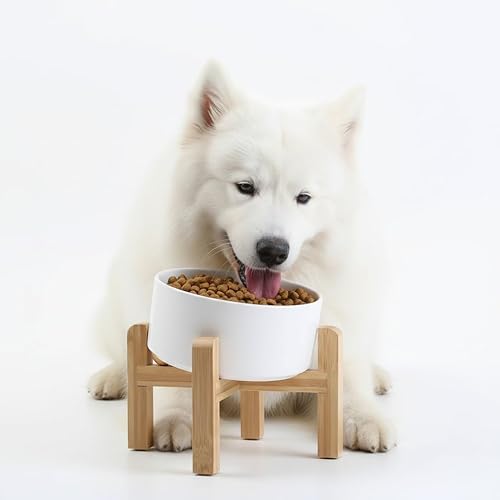 Miniatura 22 de Petygooing Tazón elevado/relevado de cerámica para perros de 15° inclinado para razas pequeñas y medianas, tazón antideslizante inclinado para Negro