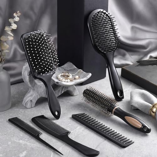 6Pcs Hair Brushes for Women Hair Comb Set Detangler Brush for Men and Women Wet Dry Curly Straight Hair