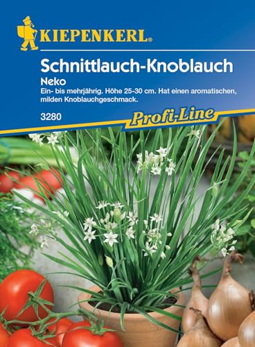 Kiepenkerl Profi-Line Schnittknoblauchsamen Neko 3280 - Mehrjährig, winterhart, Kräutersamen für Garten und Anzucht, vitaminreich, mild-aromatisch, Schnittlauchpflanze