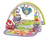fisher price deluxe bouncer owl Die Spielzeuge mit Befestigungsring können variabel an den Bogen angebracht oder zum Mitnehmen für unterwegs abgenommen werden