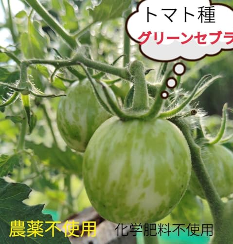 g}g O[[u QO _sgpw엿sgp