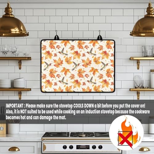 View 5