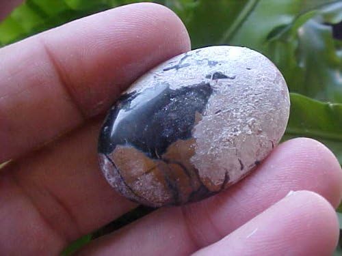 Gemqz C5819 Picasso Marble Oval Cabochon Indonesia !!! image 2