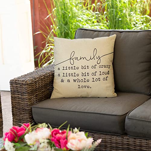Fjfz Family A Little Bit Of Crazy Decorative Throw Pillow Covers, Farmhouse Quote Home Rustic Decorations, Christmas Inspirational Gifts Winter Cotton Linen Cushion Case Decors For Sofa Couch 18 × 18 #TOP4