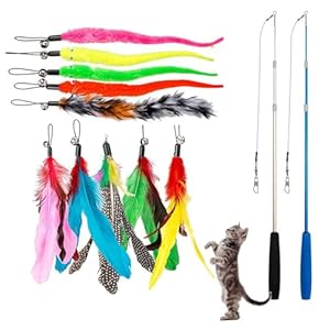Katzenangel Stabil mit Federn, 1 Set Katzenspielzeug-Stab, Katzenspielzeug Angel mit Federn, Kätzchen Zauberstab Spielzeug mit 2 Versenkbare Katzenangel und 10 Ersatz mit Glocken für Katzen und Katzen