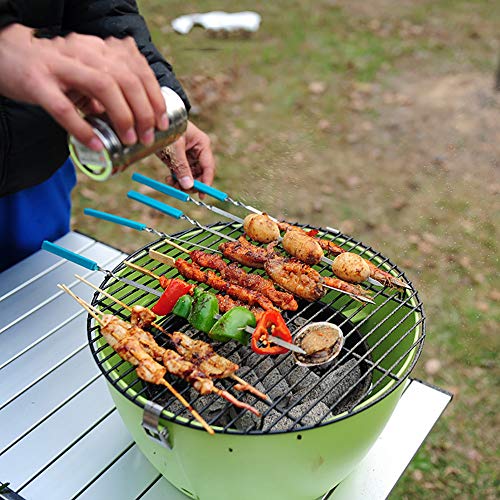 QJJML Mini Grill, Stainless Steel Thicken Household Charcoal Grill, Apple Green