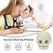 MIIRR Human Infant Skull, Life Size Fetal Model for Medical Education and Learning