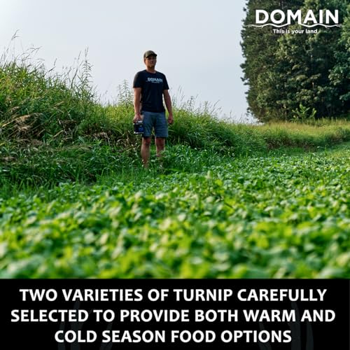 Domain Outdoor Smack Down Food Plot Seed, 1/2 Acre, Variety of Purple Top Turnip and Forage Turnip, Attractive Forages No Matter The Time of The Year, High Levels of Protein and Energy, Fast to Mature