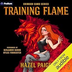 Training Flame cover art