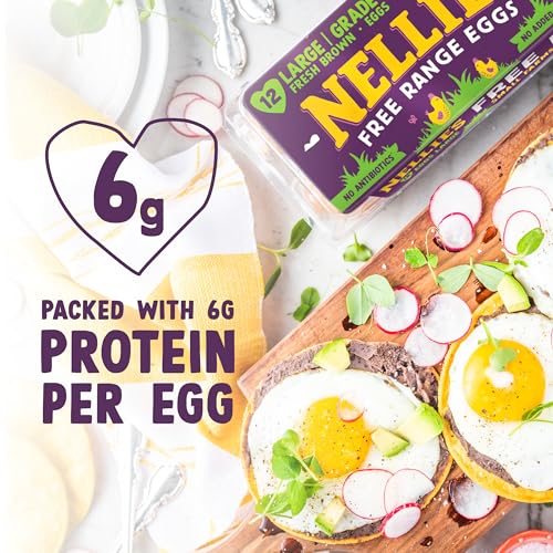 Nellie\'s Free Range Large Eggs, 12 Count - Thumbnail 3