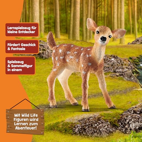 SCHLEICH WILD Life | Weißwedelkalb 14820 | detailgetreue Tierfiguren | Zoo Spielzeug | Geschenk für Jungen & Mädchen | Deko für Geburtstag oder Weihnachten | Spielfigur ab 3 Jahren | 5 x 2 x 5 cm