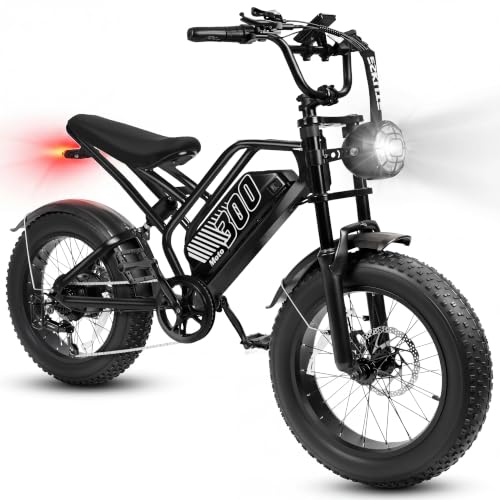 ESKUTE V300 Fat Tire Ebike
