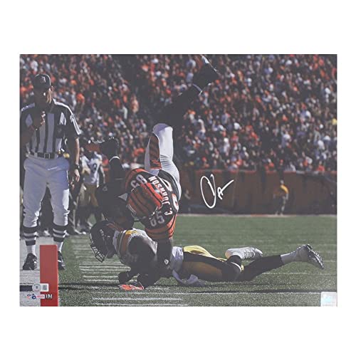 Chad Johnson Autographed Cincinnati 16x20 Football Photo - BAS (Tackled)