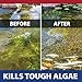 The Pond Guy InstaFix Algae Control, Outdoor Water Garden, Fountain & Birdbath Algae Solution, EPA Registered Liquid Algaecide, Control Green Water & String Algae, Bird, Fish & Pet Safe, 32 Ounces