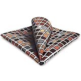 SHLAX&WING Silk Pocket Square Multicolored Hanky for Men Paisley Checkered