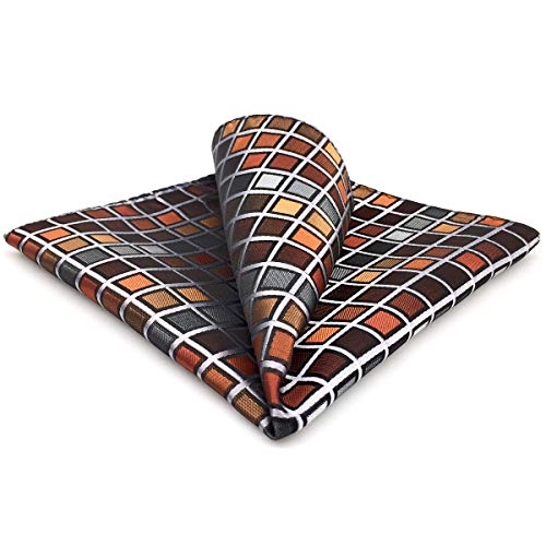 Shlax&Wing Silk Pocket Square Multicolored Hanky For Men Paisley Checkered #TOP6
