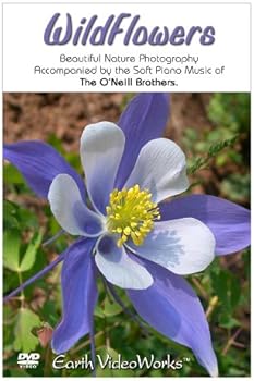 DVD WildFlowers Book