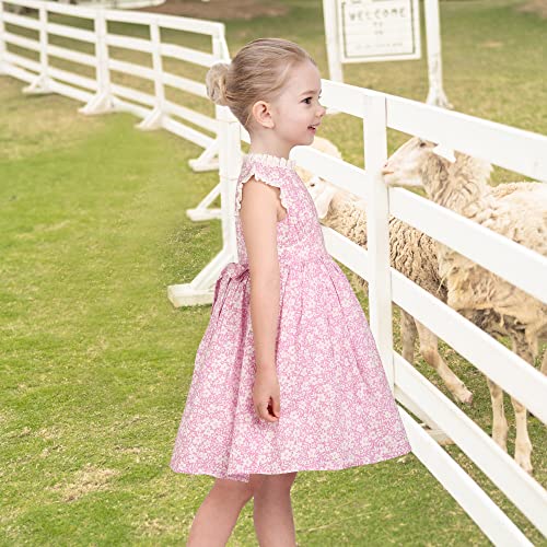 Sunny Fashion Girls Dress O-Neck Backless Smocked Embroidery Ruffle Vintage Sleeveless4