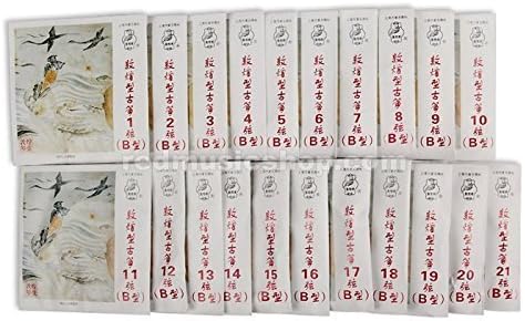 Dunhuang Nylon Guzheng Strings, Type B, 1 Set, 1 - #21