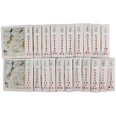 Dunhuang Nylon Guzheng Strings, Type B, 1 Set, 1 - #21