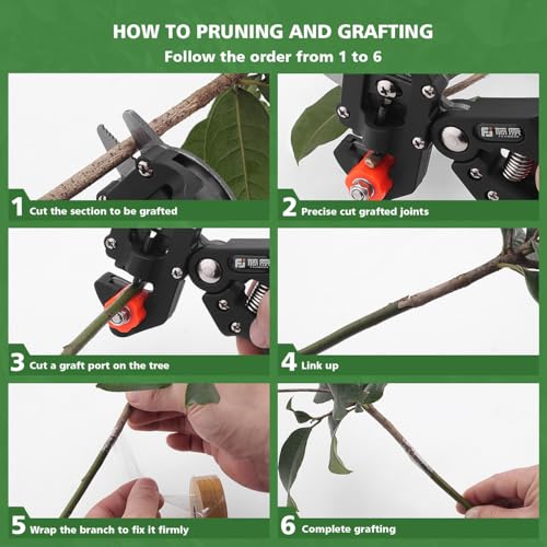 FUJIWARA 3-in-1 Garden Grafting Tool, Pruning Scissors Kit, U/V/Omega-Graft Seedling for Fruit Tree Grafting Set,Including 2X Tapes, Plant Tags,Plant Clips,Grafting Knife & Replacement Blades by FUJIWARA - Image 5