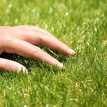 Amazon Iimono117 リアル人工芝 U字ピン付き ロール 人工芝 防草タイプ ベランダ バルコニー 庭 ガーデニング ベランダ 長さ10m 毛足mm 春色 人工芝