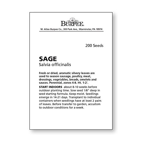 Burpee Sage Seeds #TOP3
