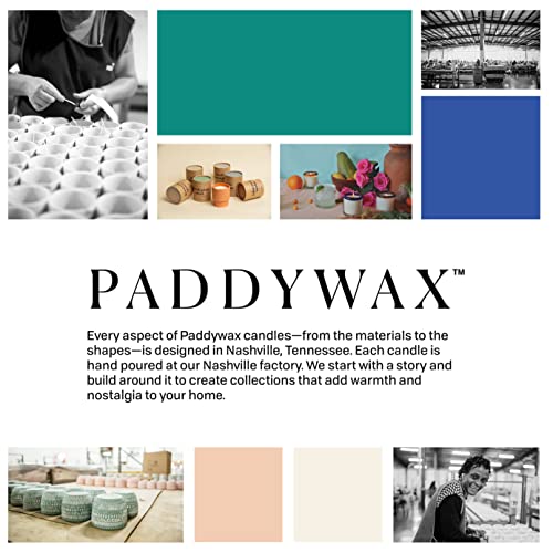 Paddywax Apothecary Soy Wax Scented Candle, 8-Ounce Glass Jar With Lid, Orange Zest & Bergamot #TOP5