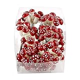 * Die Pilze sind nicht zum Verzehr !!! Kein Spielzeug !!!