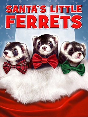 Santa's Little Ferrets