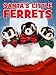 Santa's Little Ferrets