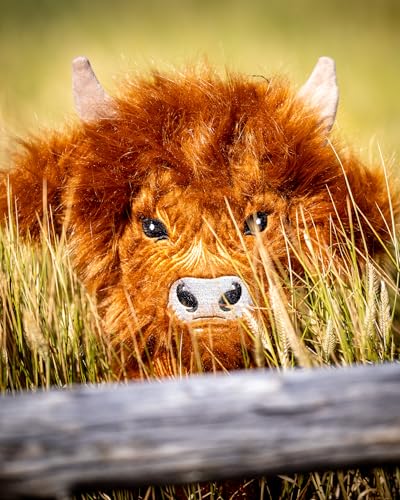 Pins & Aces Highland Cow Leather Golf Head Cover